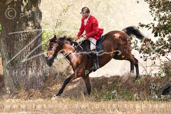 10 - Jahgd Rohlfshagen