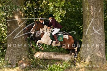 11 - Jagd Tangstedt 11 - Jagd Tangstedt