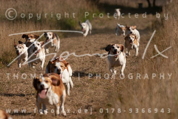 12 - Jagd Kellinghusen