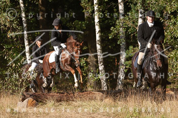 12 - Jagd Kellinghusen