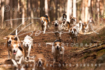 15 - Jagd Mechtersen