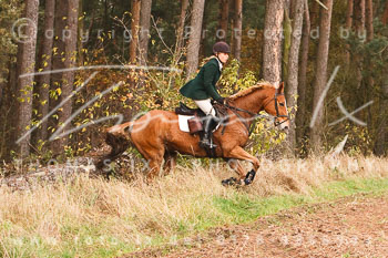 17 - Jagd Wulfsen 17 - Jagd Wulfsen