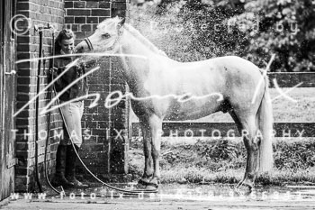 01 - Schleppjagd Gartow