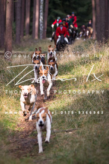 02 - Schleppjagd Gartow