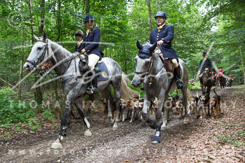 01 - Jagd Wendlinghausen