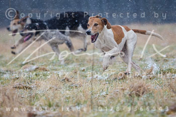 02 - Jagd Sudermühlen