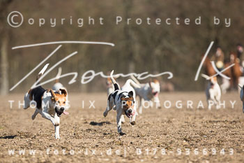 04 - Schnellenberg Meutearbeit