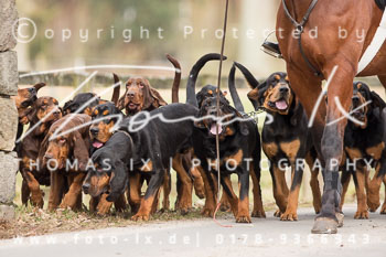 05 - Weser Vale Rehrhof