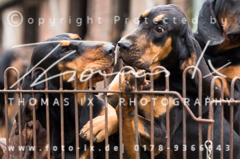 06 - Weser Vale Rehrhof