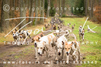 08 - Triple Meet Ehlbeck 08 - Triple Meet Ehlbeck
