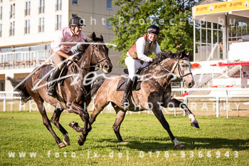 15 - Meutearbeit Horn