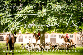 17 - Schleppjagd Rittergut Schnellenberg 17 - Schleppjagd Rittergut Schnellenberg