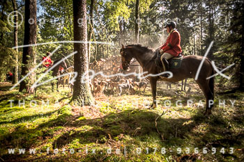 23 - Schleppjagd Dreilingen