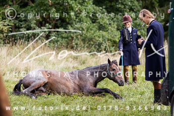 26 - Schleppjagd Goslar