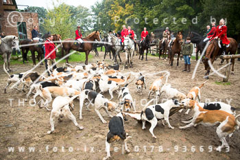 33 - Cross Country Jesteburg 33 - Cross Country Jesteburg