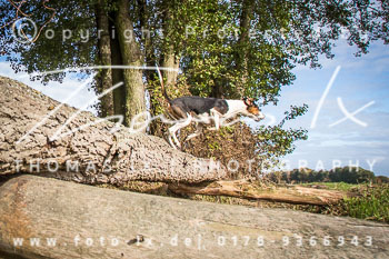 35 - Schleppjagd Grabow