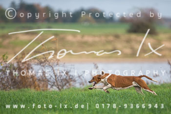 38 - Schleppjagd Thedinghausen