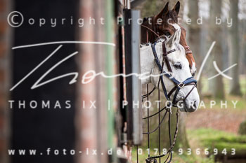 41 - Herbstjagd Sudermühlen