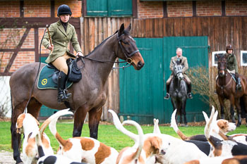 01 - Meutearbeit Ehlbeck