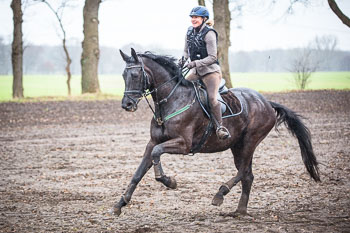 03 - Meutearbeit Schnellenberg