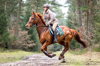 04 - Meutearbeit Einemhof