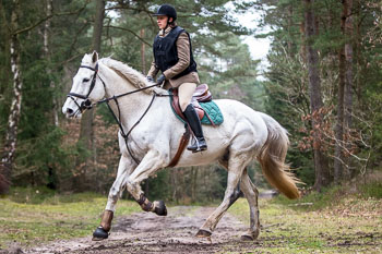 04 - Meutearbeit Einemhof