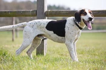 07 - Picknick Schnede