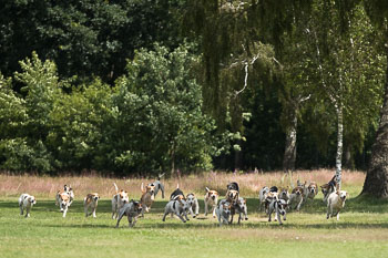 08 - Show Luhmuehlen