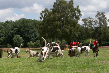 08 - Show Luhmuehlen