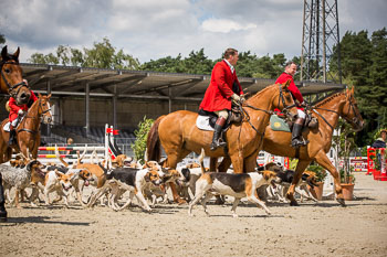 08 - Show Luhmuehlen 08 - Show Luhmuehlen