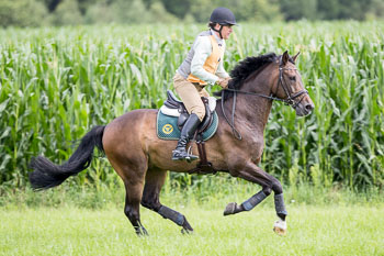 09 - Jagd Hasenthal 09 - Jagd Hasenthal