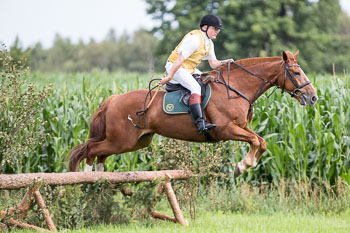 09 - Jagd Hasenthal 09 - Jagd Hasenthal