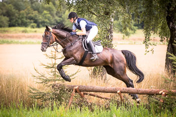 09 - Jagd Hasenthal
