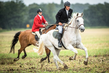 10 - Jagd Rohlfshagen 10 - Jagd Rohlfshagen