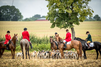 10 - Jagd Rohlfshagen