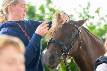 11 - Jugendjagdreiterlehrgang