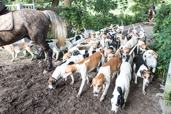 11 - Jugendjagdreiterlehrgang 11 - Jugendjagdreiterlehrgang