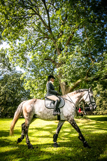 12 - Jagd Steinhorst