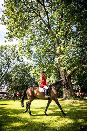 12 - Jagd Steinhorst 12 - Jagd Steinhorst