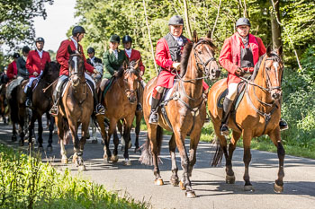 12 - Jagd Steinhorst 12 - Jagd Steinhorst
