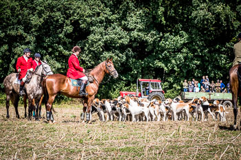 12 - Jagd Steinhorst 12 - Jagd Steinhorst