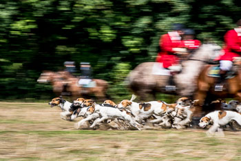 12 - Jagd Steinhorst 12 - Jagd Steinhorst