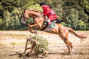 12 - Jagd Steinhorst