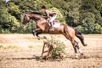 12 - Jagd Steinhorst 12 - Jagd Steinhorst