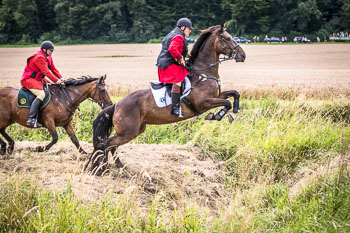12 - Jagd Steinhorst 12 - Jagd Steinhorst