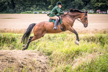 12 - Jagd Steinhorst