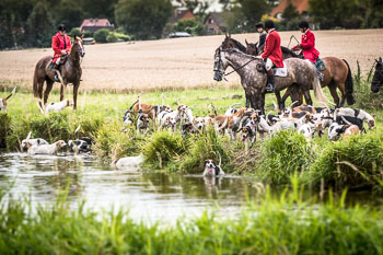 12 - Jagd Steinhorst 12 - Jagd Steinhorst