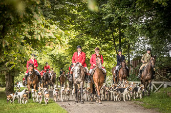 12 - Jagd Steinhorst