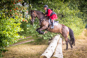 13 - Jagd Schnellenberg