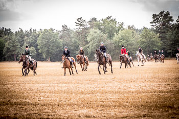 13 - Jagd Schnellenberg